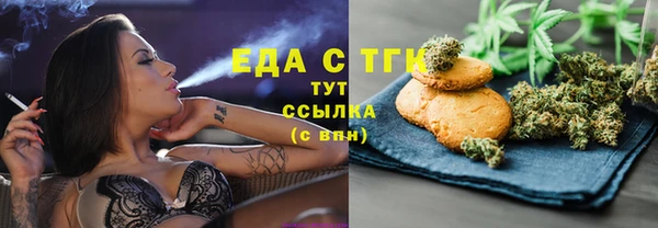 индика Бугульма