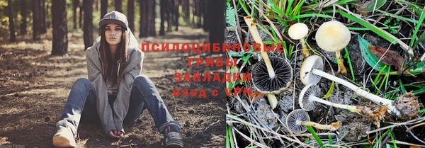 эйфоретик Заводоуковск
