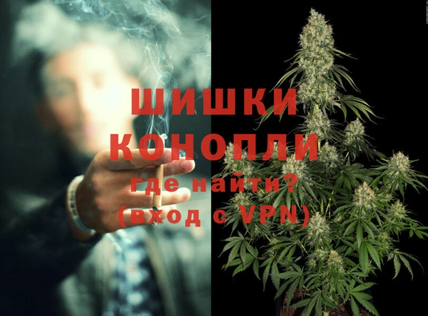 ГАЛЛЮЦИНОГЕННЫЕ ГРИБЫ Заволжск