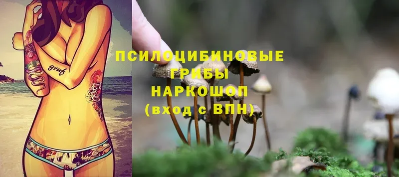 даркнет сайт  Ишимбай  Псилоцибиновые грибы Cubensis 