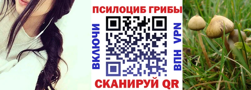 mega tor  Ишимбай  Галлюциногенные грибы Magic Shrooms 