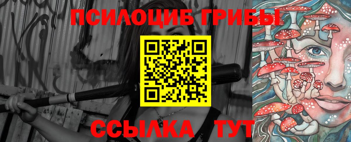 Ишимбай  Галлюциногенные грибы Psilocybine cubensis  Галлюциногенные грибы мухоморы  Вход с VPN 
