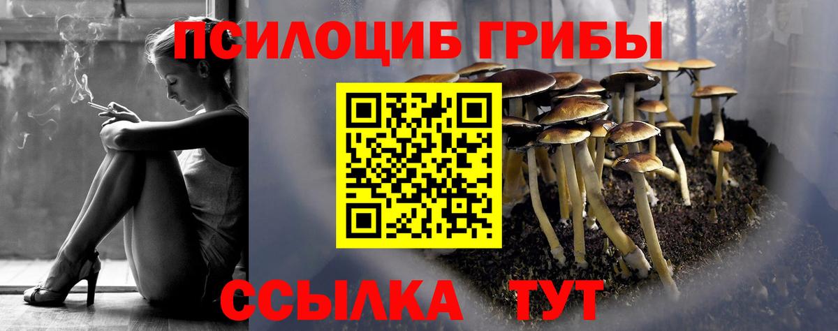 Галлюциногенные грибы прущие грибы  Ишимбай 